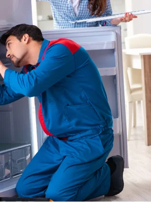 Expert appliance repair in UAE - Deep Freezer Repairing