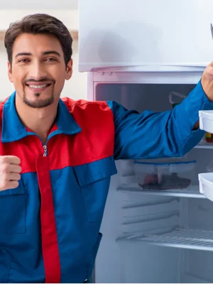 Expert appliance repair in UAE - Deep Freezer Repairing