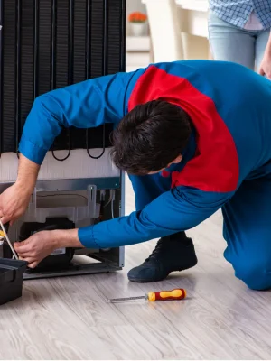Expert appliance repair in UAE - Deep Freezer Repairing
