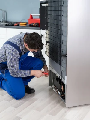 Expert appliance repair in UAE -Refrigerator Repairing